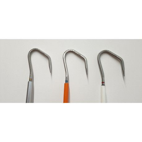 RAFFIO SUNRISE - SUNRISE GAFF