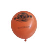PALLONCINI BIODEGRADABILI SUNRISE 25pz.